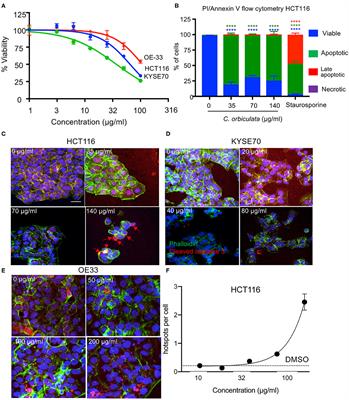 Apoptosis in Cancer Cells Is Induced by Alternative Splicing of hnRNPA2/B1 Through Splicing of Bcl-x, a Mechanism that Can Be Stimulated by an Extract of the South African Medicinal Plant, Cotyledon orbiculata